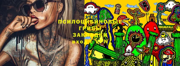 молекула духа Арсеньев