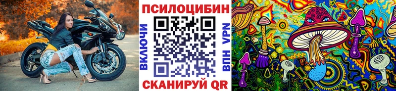 цены   Верхняя Салда  Псилоцибиновые грибы Psilocybine cubensis 