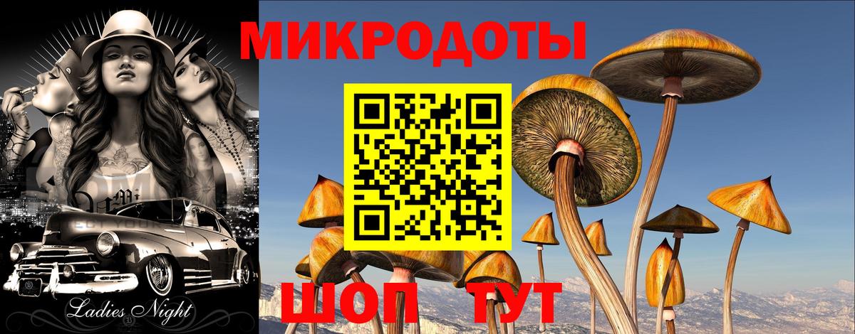 Псилоцибиновые грибы MAGIC MUSHROOMS  Вход с VPN  Верхняя Салда 