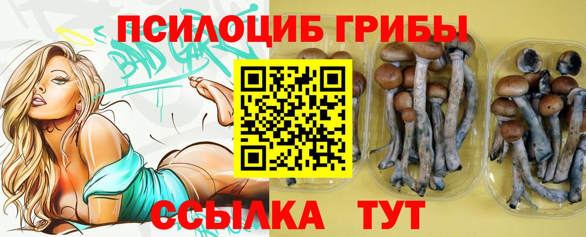 Псилоцибиновые грибы Cubensis Верхняя Салда